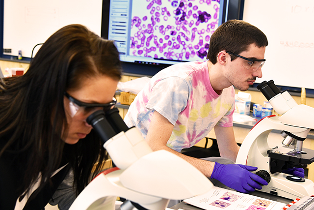 Students in a Biology class