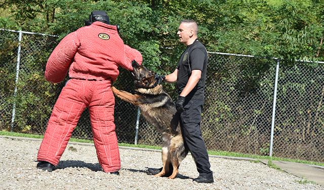 Cadet and instructor with K9