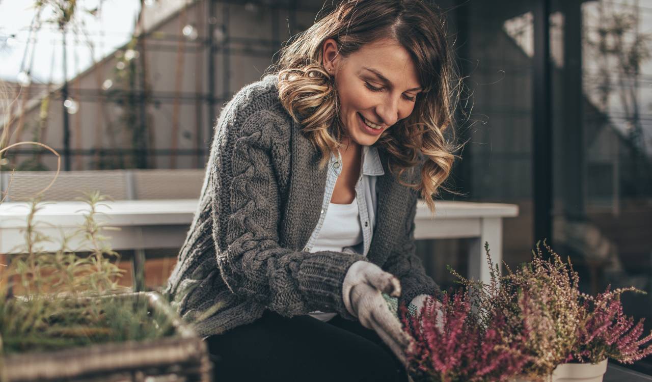 Fall gardening