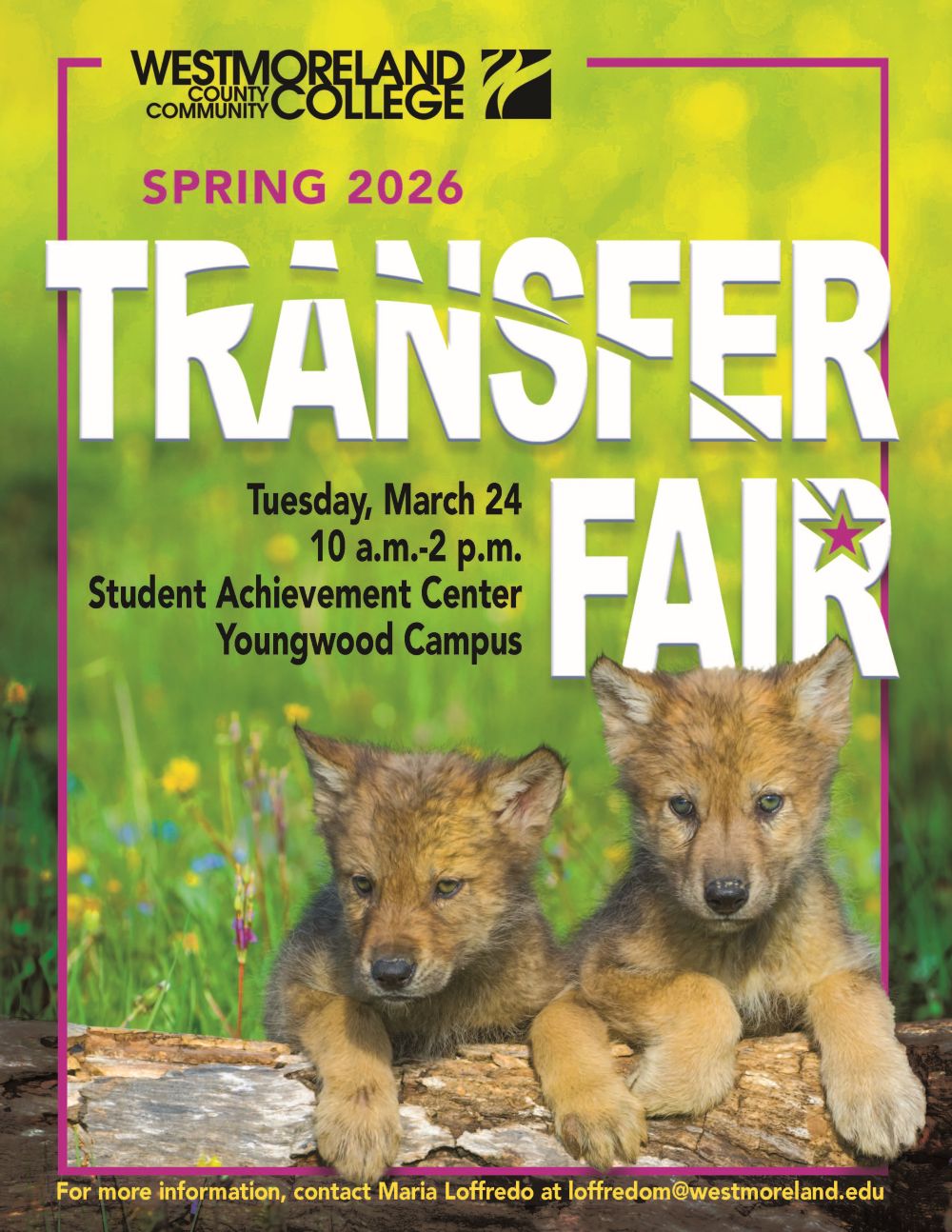 Spring Transfer Fair Spring Transfer Fair